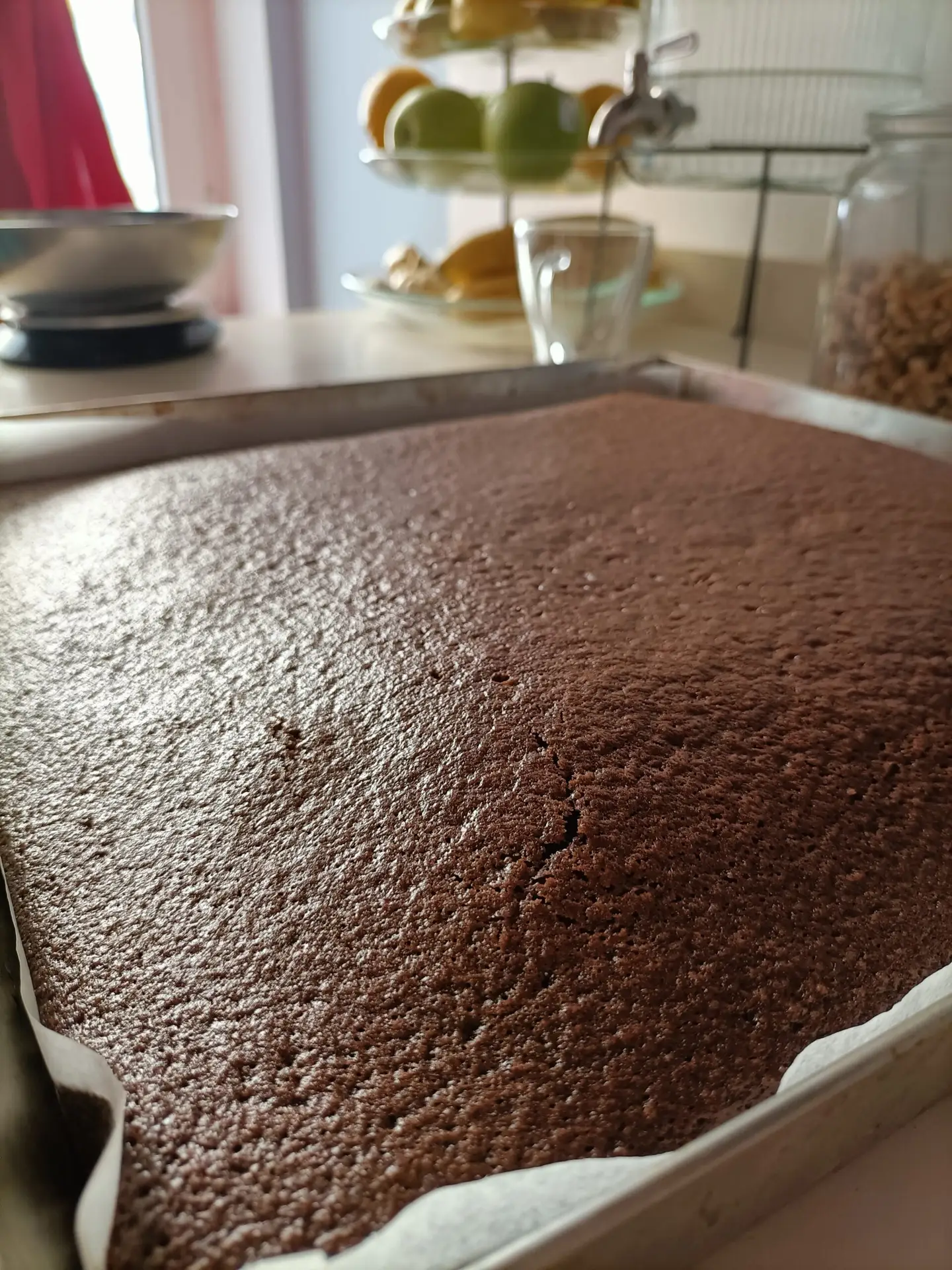 Teglia di cake al cacao vista laterale